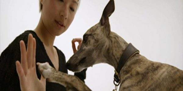 دانلود مستند خلوت سگ‌ها - 6 از مجموعه خلوت سگ‌ها