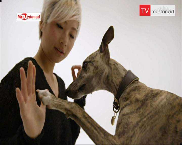 دانلود مستند خلوت سگها – 6 از مجموعه خلوت سگها دانلود مستند خلوت سگها - 6 از مجموعه خلوت سگها