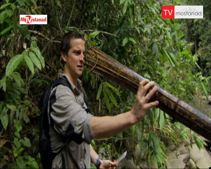 دانلود مستند جزیره بورنئو از مجموعه انسان در برابر طبیعت دانلود مستند جزیره بورنئو از مجموعه انسان در برابر طبیعت