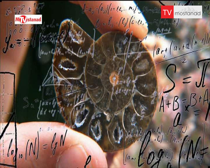 دانلود مستند آیا تکامل را خدا خلق کرده؟ از مجموعه جهشی در علم دانلود مستند آیا تکامل را خدا خلق کرده؟ از مجموعه جهشی در علم