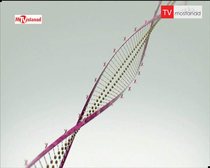 دانلود مستند جایگزین کردن خدا از مجموعه سفر به آینده با James Wood دانلود مستند جایگزین کردن خدا از مجموعه سفر به آینده با James Wood