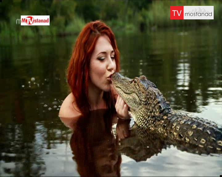 دانلود مستند تمساح بان – 20 از مجموعه تمساح بان دانلود مستند تمساح بان - 20 از مجموعه تمساح بان