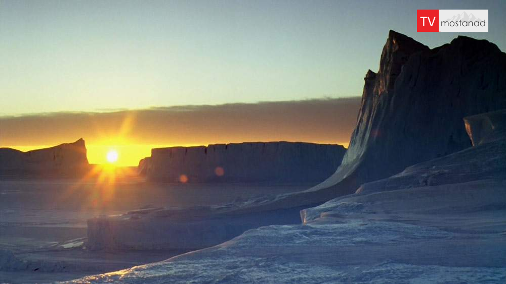 دانلود مستند دنیای بچه های حیوانات با دوبله فارسی شبکه منوتو دانلود مستند دنیای بچه های حیوانات با دوبله فارسی شبکه منوتو