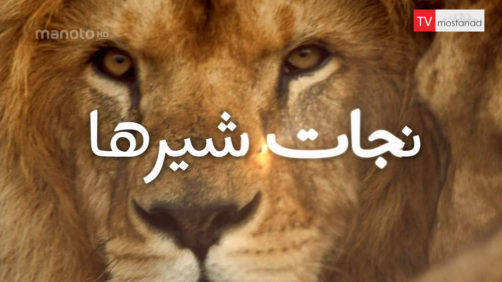 دانلود مستند نجات شیرها با دوبله فارسی شبکه منوتو دانلود مستند نجات شیرها با دوبله فارسی شبکه منوتو