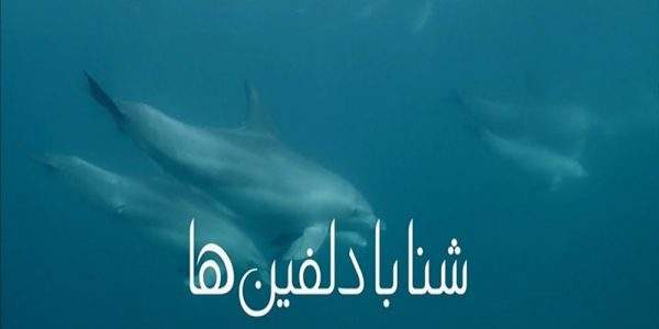 دانلود مستند شنا با دلفین ها با دوبله فارسی شبکه منوتو