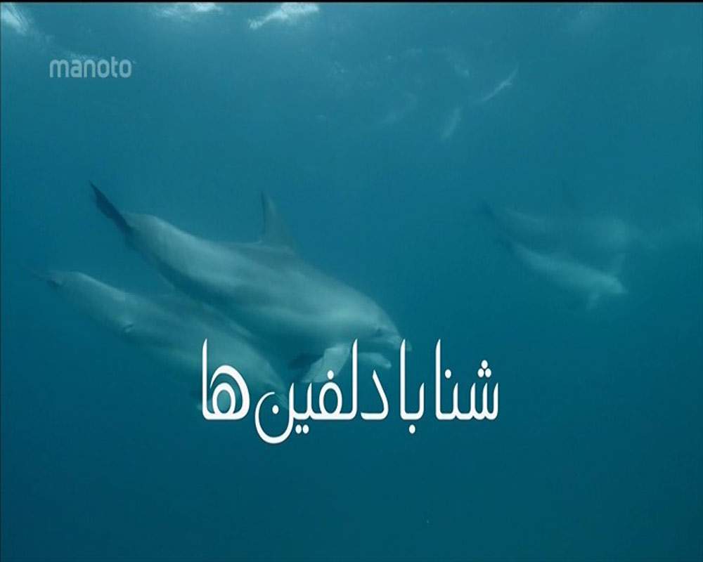 دانلود مستند شنا با دلفین ها با دوبله فارسی شبکه منوتو