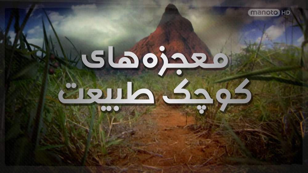 دانلود مستند معجزه‌های کوچک طبیعت با دوبله فارسی شبکه منوتو