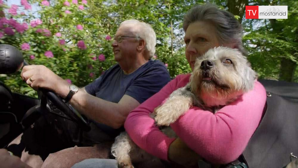 دانلود مستند اسرار سگ ها با دوبله فارسی شبکه منوتو دانلود مستند اسرار سگ ها با دوبله فارسی شبکه منوتو