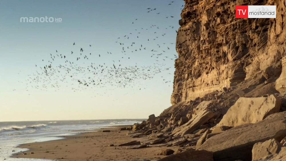 دانلود مستند حیات وحش پاتاگونیا با دوبله فارسی شبکه منوتو دانلود مستند حیات وحش پاتاگونیا با دوبله فارسی شبکه منوتو