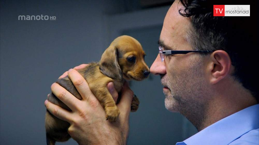 دانلود مستند سوپر کلینیک حیوانات سری جدید با دوبله فارسی شبکه منوتو دانلود مستند سوپر کلینیک حیوانات سری جدید با دوبله فارسی شبکه منوتو