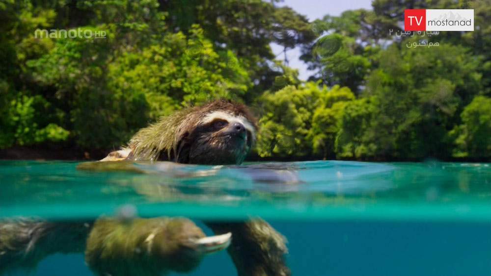 دانلود مستند سیاره زمین با دوبله فارسی شبکه منوتو دانلود مستند سیاره زمین با دوبله فارسی شبکه منوتو