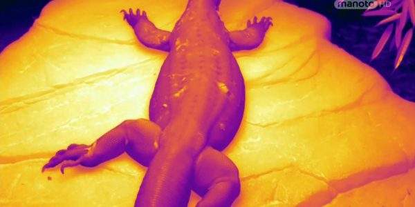 دانلود مستند دمای حیات با دوبله شبکه منوتو از مجموعه علم دما؛ از یخ تا آتش