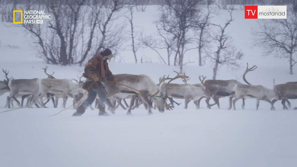 manoto 5432 دانلود مستند دوبله فارسی منوتو 8 دانلود مستند عملیات منجمد با دوبله شبکه نشنال جئوگرافی فارسی از مجموعه بازماندگان نخستین