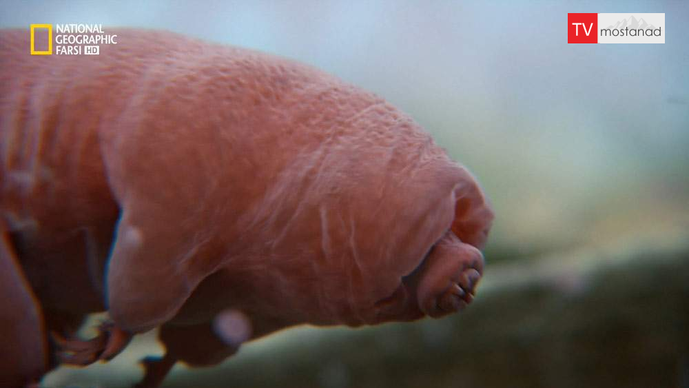 دانلود مستند مولکول ها چه می کنند با دوبله فارسی شبکه نشنال جئوگرافی از مجموعه کاسموس دانلود مستند مولکول ها چه می کنند با دوبله فارسی شبکه نشنال جئوگرافی از مجموعه کاسموس