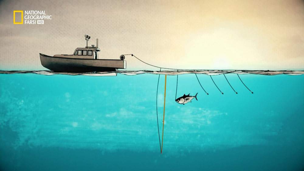 دانلود مستند آب های بی رحم با دوبله فارسی شبکه نشنال جئوگرافی از مجموعه ماهی تن شرور