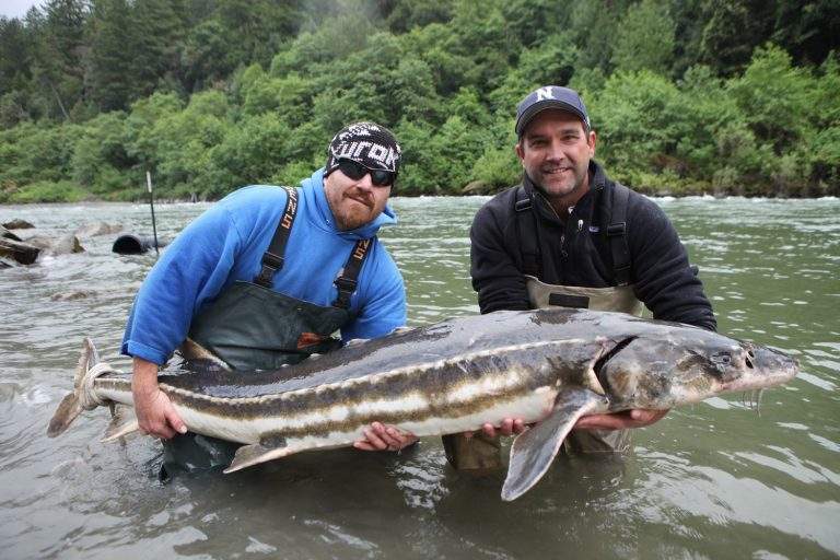 دانلود مستند ماهی غول پیکر با دوبله فارسی شبکه National Geographic farsi