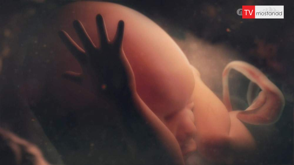 دانلود مستند آخرین مرحله از مجموعه 9 ماه تا تولد دانلود مستند آخرین مرحله از مجموعه 9 ماه تا تولد