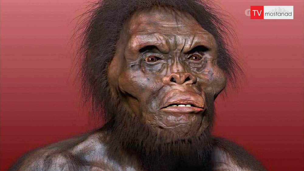 دانلود مستند نمونه های اولیه از مجموعه ما و فرازمینی ها دانلود مستند نمونه های اولیه از مجموعه ما و فرازمینی ها