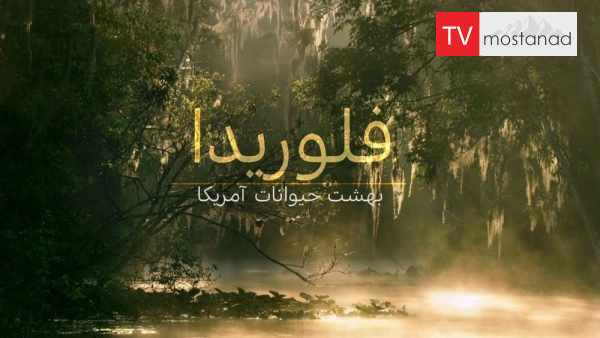 Natural World – دانلود مستند فلوریدا بهشت حیوانات آمریکا از مجموعه اسرار حیات وحش با دوبله شبکه منوتو