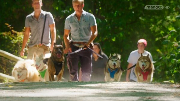 دانلود مستند مربیان سگ - 1 از مجموعه مربیان سگ با دوبله شبکه منوتو