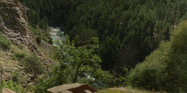 دانلود مستند جنگل ملی سنخوان از مجموعه کاوشگران طبیعت با دوبله شبکه منوتو