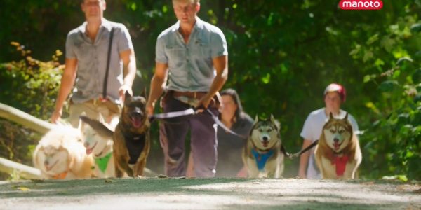 دانلود مستند مربیان سگ - 3 از مجموعه مربیان سگ با دوبله شبکه منوتو