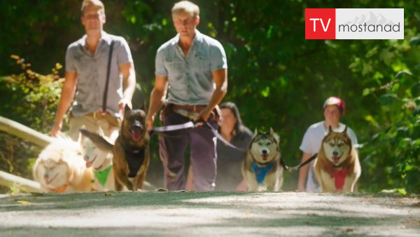 The Dog Dudes – 3 دانلود مستند مربیان سگ - 3 از مجموعه مربیان سگ با دوبله شبکه منوتو