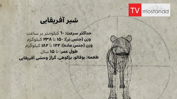 Predators Up Close with Joel Lambert lions دانلود مستند شیر ها از مجموعه شکارچیان درنده با جوئل لمبرت با دوبله شبکه منوتو