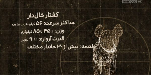دانلود مستند کفتارها از مجموعه شکارچیان درنده با جوئل لمبرت با دوبله شبکه منوتو