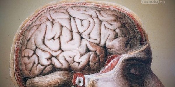 دانلود مستند کنترل ذهن از مجموعه ذهن جستجوگر من با دوبله شبکه منوتو