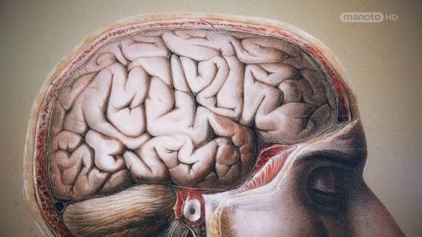دانلود مستند کنترل ذهن از مجموعه ذهن جستجوگر من با دوبله شبکه منوتو