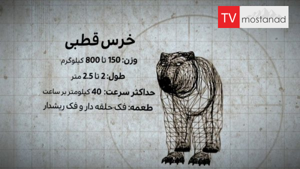 5969-manoto-mndl-mostanads دانلود مستند خرس های قطبی از مجموعه شکارچیان درنده با جوئل لمبرت با دوبله شبکه منوتو