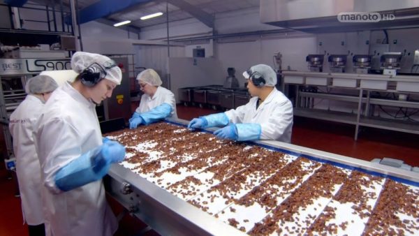 دانلود مستند شکلات غلات از مجموعه پشت درهای کارخانه با دوبله شبکه منوتو