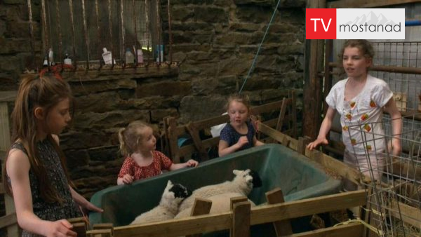 Our Yorkshire Farm-2 دانلود مستند مزرعه ما - 2 از مجموعه مزرعه ما با دوبله شبکه منوتو