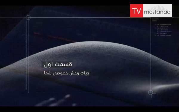 دانلود مستند قسمت اول مستند حیات در ما از مجموعه با دوبله شبکه منوتو دانلود مستند قسمت اول مستند حیات در ما از مجموعه با دوبله شبکه منوتو