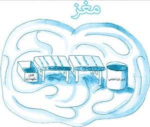 اختلال وسواس در کودکان