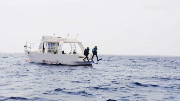 دانلود مستند افسانه های اعماق دریا - 2 از مجموعه افسانه های اعماق دریا با دوبله شبکه منوتو