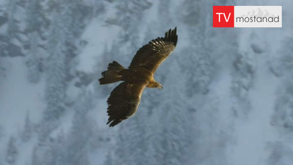 Mindful Earth-2 دانلود مستند آرامش با زمین - 2 از مجموعه آرامش با زمین با دوبله شبکه منوتو