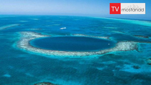 Legends of the Deep-4 دانلود مستند افسانه های اعماق دریا - 4 از مجموعه افسانه های اعماق دریا با دوبله شبکه منوتو