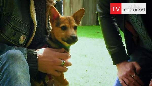 6512-manoto-documentary-tvmostanad-mndl-manoto-documentary-tvmostanad-mndl دانلود مستند خانه وفا - 4 از مجموعه خانه وفا با دوبله شبکه منوتو