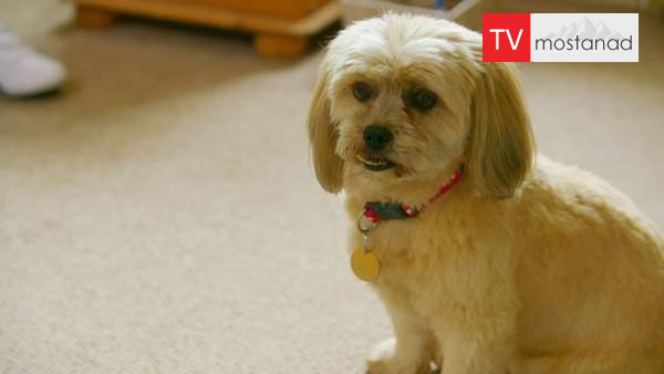 6522-manoto-documentary-tvmostanad-mndl-manoto-documentary-tvmostanad-mndl-1 دانلود مستند خانه وفا - 5 از مجموعه خانه وفا با دوبله شبکه منوتو