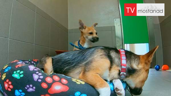 6540-manoto-documentary-tvmostanad-mndl-manoto-documentary-tvmostanad-mndl دانلود مستند خانه وفا - 6 از مجموعه خانه وفا با دوبله شبکه منوتو