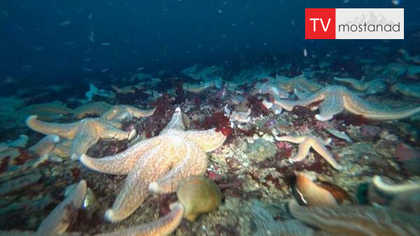 Chasing Life with Dr. Sanjay Gupta-Norway دانلود مستند نروژ از مجموعه در جستجوی زندگی با سانجی گوپتا با دوبله شبکه منوتو