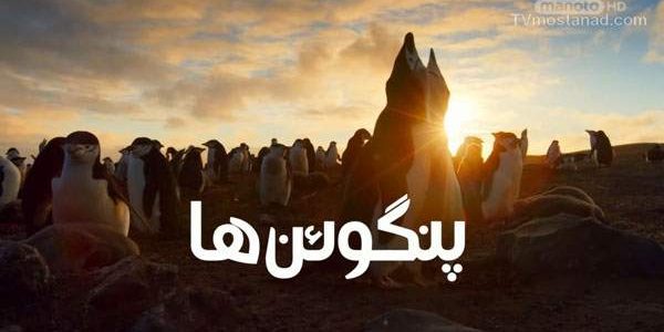 دانلود مستند آشنایی با خانواده پنگوئن ها از مجموعه ویژه برنامه با دوبله شبکه منوتو