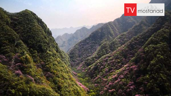 China: Nature’s Ancient Kingdom دانلود مستند چین: طبیعت کهن (3 قسمت) از مجموعه ویژه برنامه با دوبله شبکه منوتو