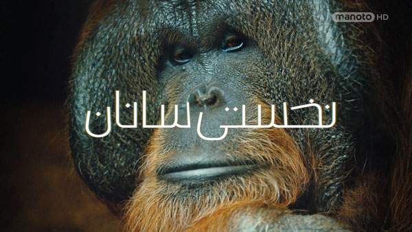 دانلود مستند میمون ها - نخستی سانان (2 قسمت) از مجموعه ویژه برنامه با دوبله شبکه منوتو