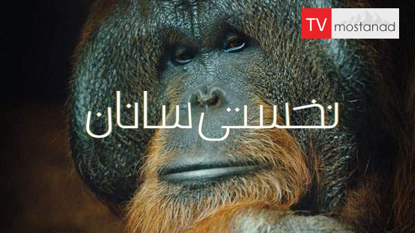 Primates دانلود مستند میمون ها - نخستی سانان (2 قسمت) از مجموعه ویژه برنامه با دوبله شبکه منوتو