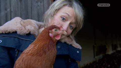 دانلود مستند نمک، مرغ های آزاد و هاگیس از مجموعه دنیای ناشناخته خوراکی ها با دوبله شبکه من و تو