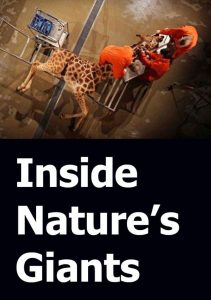 زیر پوست حیوانات (Inside Nature’s Giants)