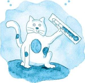 روش درمان وسواس